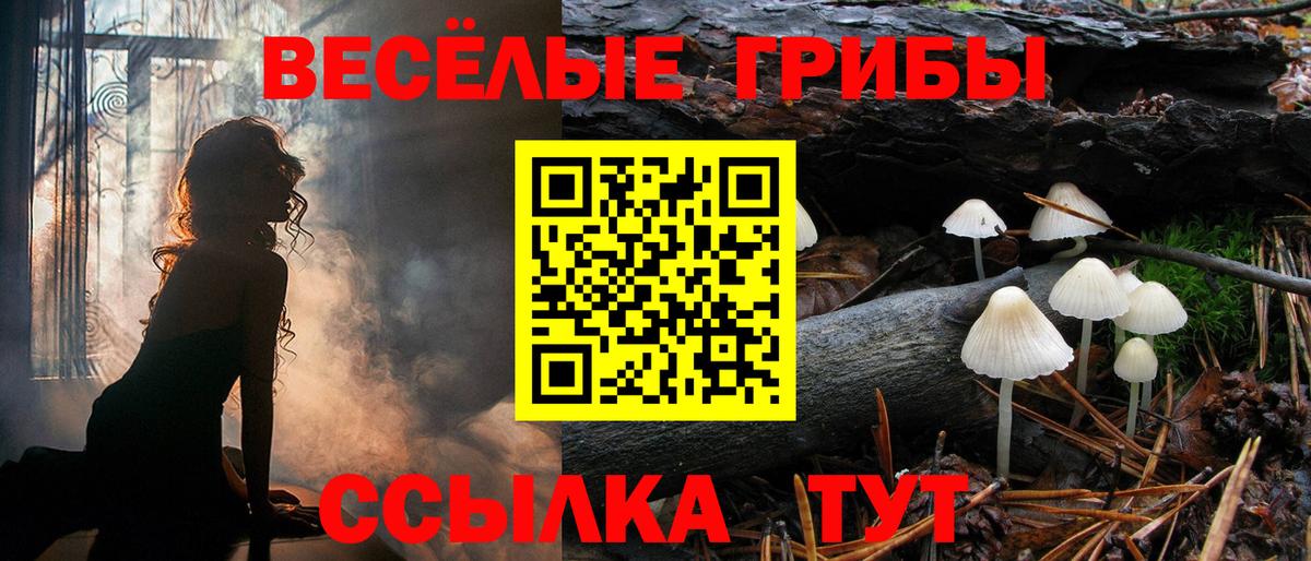 Псилоцибиновые грибы Psilocybe Нефтекумск