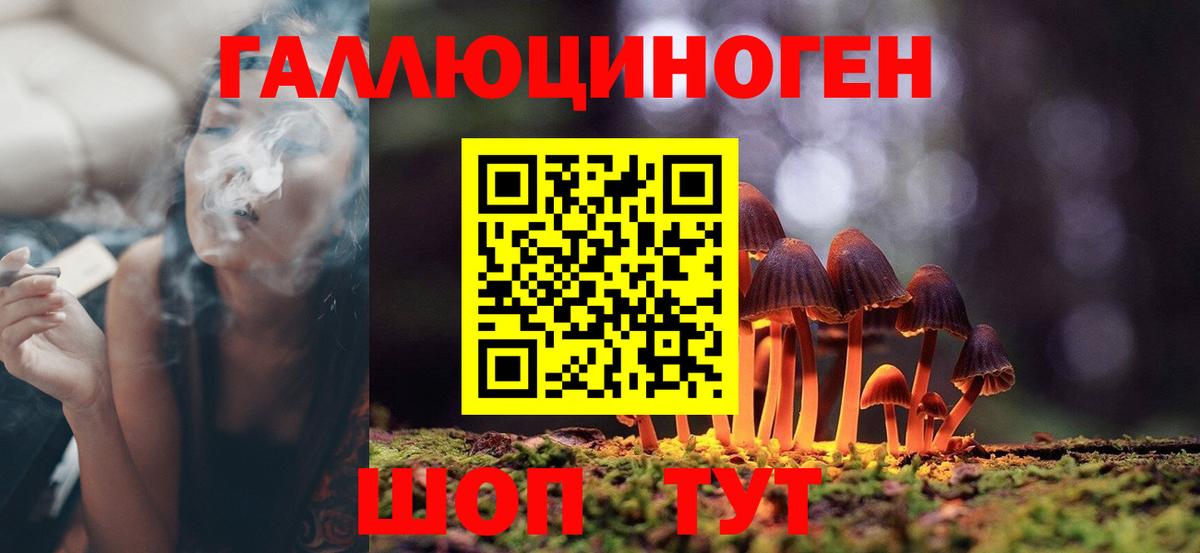 Галлюциногенные грибы мицелий  Вход с VPN  Нефтекумск  Галлюциногенные грибы Cubensis 